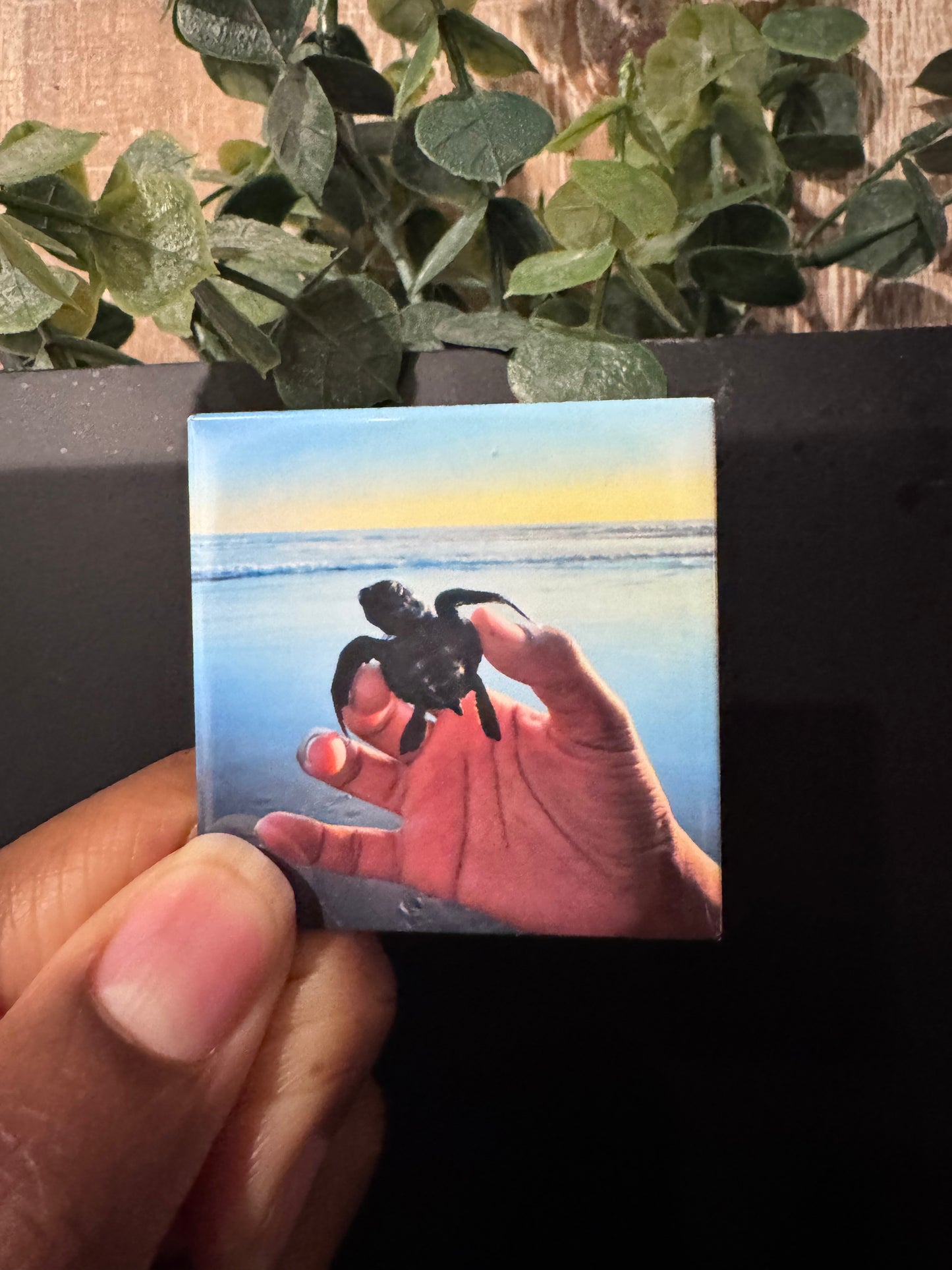 6 Custom 2x2 Magnets